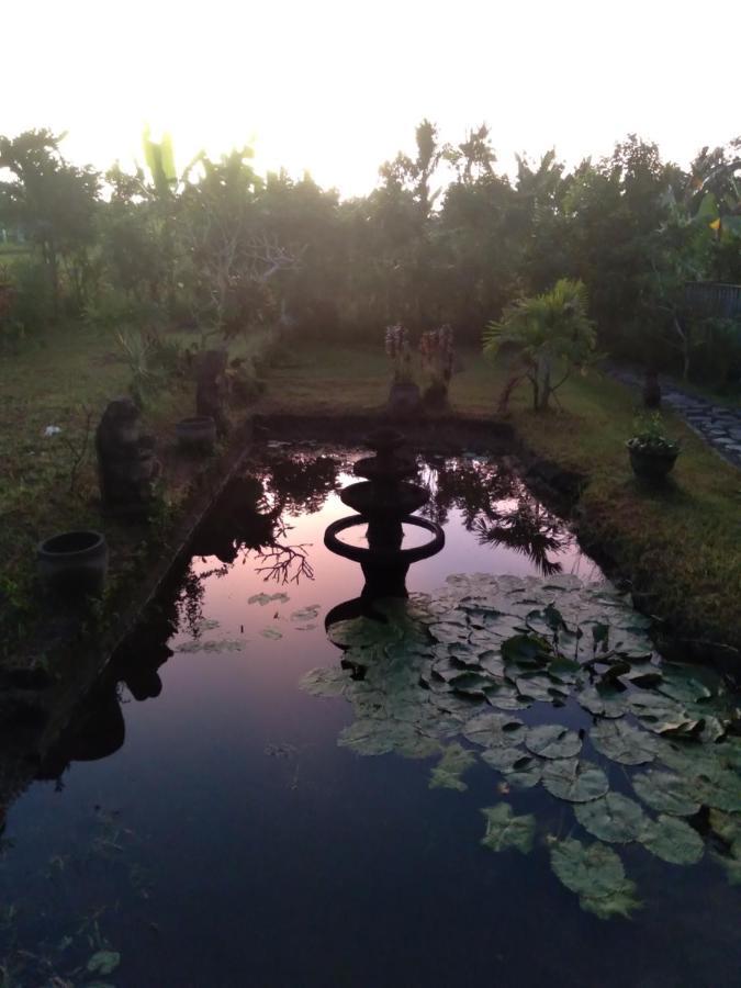Taman Bintang Villa Ubud Exterior foto