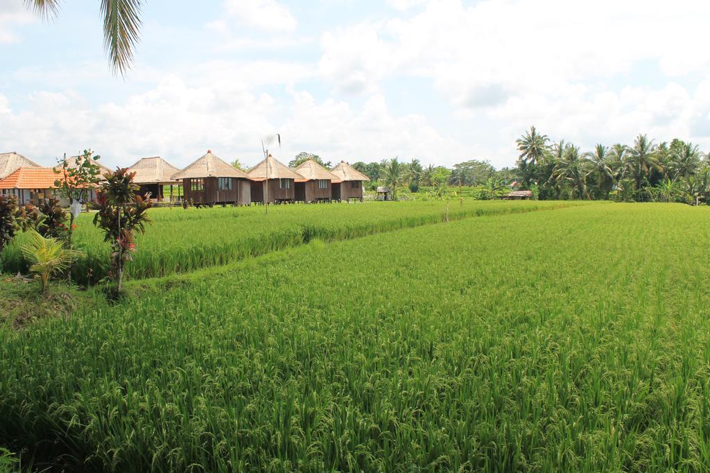 Taman Bintang Villa Ubud Exterior foto